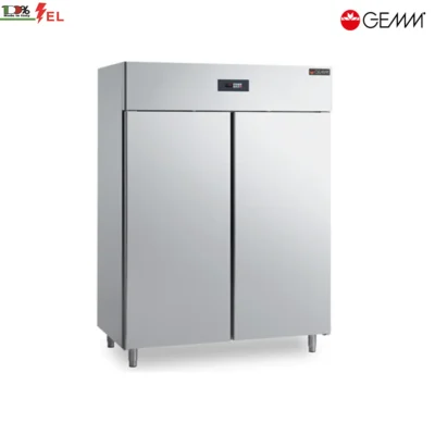Double Upright Freezer KGN/02